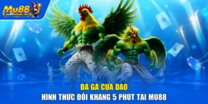 Đá Gà Cựa Dao - Hình Thức Đối Kháng 5 Phút Tại MU88