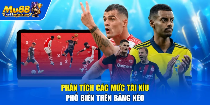 Phân tích các mức tài xỉu phổ biến trên bảng kèo