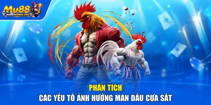 Phân tích các yếu tố ảnh hưởng màn đấu cựa sắt