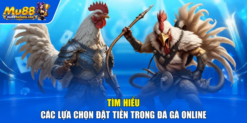 Tìm hiểu các lựa chọn đặt tiền trong đá gà online