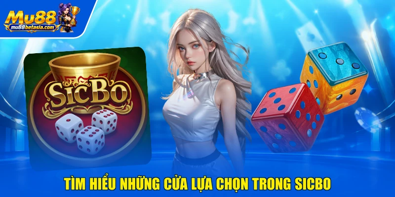 Tìm hiểu những cửa lựa chọn trong Sicbo
